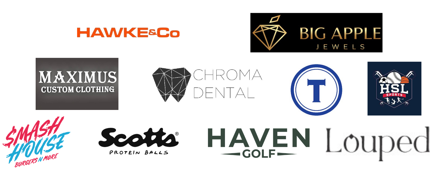 Brands VRL Media has worked with: Hawke & Co, Big Apple Jewels, Maximus Custom Clothing, Chroma Dental, Haven Golf, Scotts Protein Balls, Smash House, Louped and more